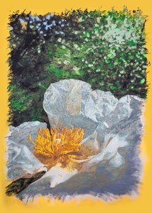 Wnętrze Jara w pobliżu Tábara, 2025 (akryl i ołówek na płótnie) autorstwa Diego Beyro