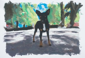 Perro en Chile, 2019 (farba akrylowa na wydrukowanym zdjęciu)