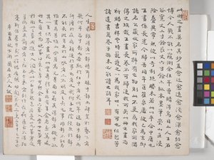 Album Malarstwa Pejzażowego (tusz na papierze) autorstwa Ding Yunpeng