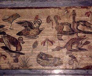Rzymska mozaika z Pompei przedstawiająca kaczki i żaby w ogrodzie wodnym, I wiek autorstwa Dioscurides of Samos