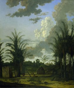 Plantacja w Surinamie