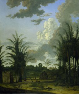 Plantacja w Surinamie