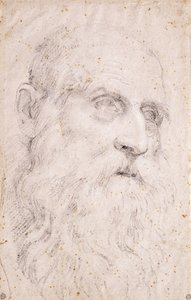 Głowa św. Hieronima autorstwa Domenichino