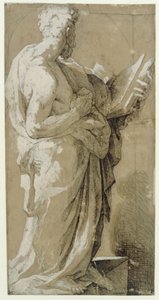 Apostoł autorstwa Domenico Beccafumi