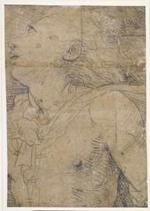 Młody mężczyzna spoglądający w górę (półpostacie), fragment kartonu autorstwa Domenico Beccafumi