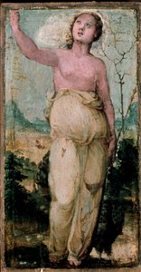 Kobieca postać. Obraz Domenico Beccafumi (1486-1551). Siena, Konserwatorium autorstwa Domenico Beccafumi