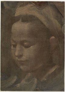 Głowa młodej kobiety autorstwa Domenico Beccafumi