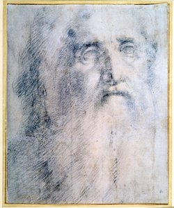 „Studium głowy starca z brodą”, ok. 1535 r. autorstwa Domenico Beccafumi
