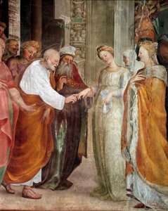 Wesele Dziewicy, szczegół. Obraz Domenico Beccafumi (1486-1551) autorstwa Domenico Beccafumi