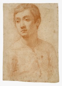 د ځوانانو مشر، c.1600-25 (په ایښودل شوي کاغذ باندې سور چاک) پولی autorstwa Domenico Cresti