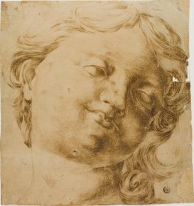 Głowa dziecka autorstwa Domenico Peruzzini