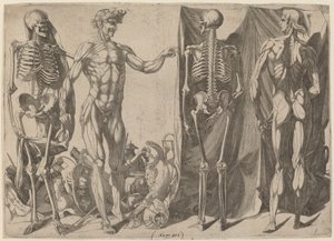 Szkielety i obdarte ze skóry 1540-1545.
