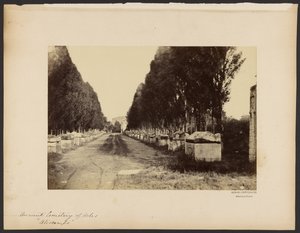 [Starożytny cmentarz w Arles, "Alyscamps"]. autorstwa Dominique Roman
