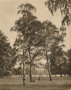 Koronkowa robota liści: letni poranek w Hyde Parku, c1935. autorstwa Donald McLeish