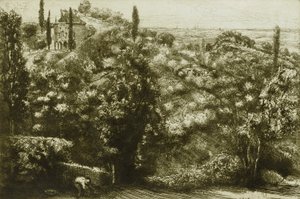 Wieczorne cienie autorstwa Donald Shaw MacLaughlan