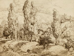 Pola Asolo autorstwa Donald Shaw MacLaughlan