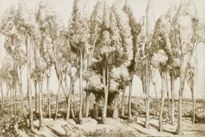 Road Song no. 5 autorstwa Donald Shaw MacLaughlan