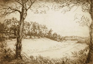 Letni poranek w Tennessee autorstwa Donald Shaw MacLaughlan