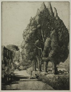 Cyprysowy Gaj autorstwa Donald Shaw MacLaughlan