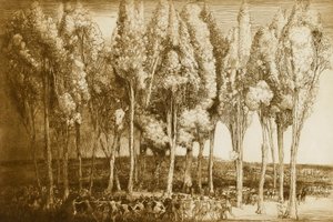 Taniec wiosny autorstwa Donald Shaw MacLaughlan
