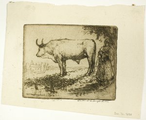 Biały Wół autorstwa Donald Shaw MacLaughlan