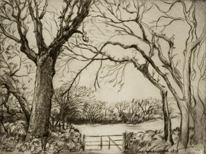 Tragenna Wood autorstwa Donald Shaw MacLaughlan