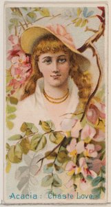 Acacia: Chaste Love, z serii Floral Beauties and Language of Flowers N75 dla Duk..., 1892.