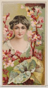 Begonia: Oryginalność, z serii Kwiatowe piękności i język kwiatów N75 dla Du..., 1892. autorstwa Donaldson Brothers