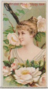 Bridal Rose: Happy Love, z serii Floral Beauties and Language of Flowers N75 for..., 1892. autorstwa Donaldson Brothers