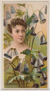 Canterbury Bells: Constancy, z serii Floral Beauties and Language of Flowers N75..., 1892. autorstwa Donaldson Brothers