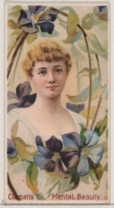 Clematis: Mental Beauty, z serii Floral Beauties and Language of Flowers N75 dla..., 1892. autorstwa Donaldson Brothers