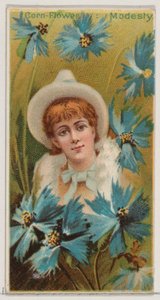 Chaber: Skromność, z serii Kwiatowe piękności i język kwiatów N75 dla Duk..., 1892.