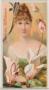 Cyclamen: Diffidence, z serii Floral Beauties and Language of Flowers N75 dla Du..., 1892. autorstwa Donaldson Brothers