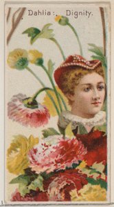 Dahlia: Dignity, z serii Floral Beauties and Language of Flowers N75 dla Duke br..., 1892. autorstwa Donaldson Brothers