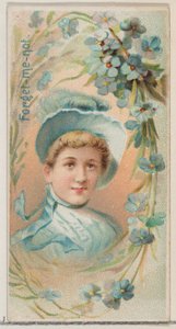 Forget-Me-Not, z serii Floral Beauties and Language of Flowers N75 dla Duke bran..., 1892. autorstwa Donaldson Brothers
