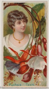 Fuchsia: Taste, z serii Floral Beauties and Language of Flowers N75 dla biustonosza Duke..., 1892. autorstwa Donaldson Brothers