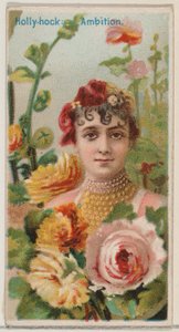 Malwa: Ambicja z serii Kwiatowe piękności i język kwiatów N75 dla Duk..., 1892.