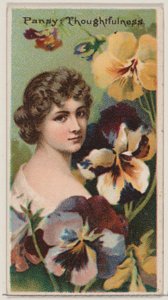 Pansy: Thoughtfulness z serii Floral Beauties and Language of Flowers N75 dla D..., 1892. autorstwa Donaldson Brothers