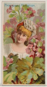 Pierwiosnek: Flirt, z serii Floral Beauties and Language of Flowers N75 dla Du..., 1892. autorstwa Donaldson Brothers