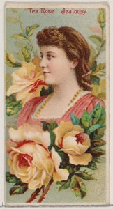 Tea Rose: Jealousy, z serii Floral Beauties and Language of Flowers N75 dla Duke..., 1892. autorstwa Donaldson Brothers