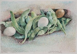 Fasola cioci Cateriny autorstwa Donatella Merlo