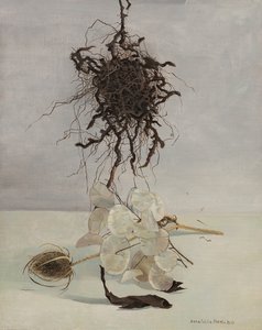 Źródło autorstwa Donatella Merlo