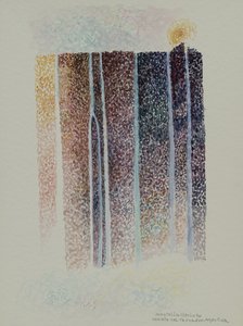 Wodospad Tronador, Argentyna