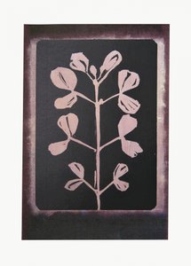 Mroczna botaniczna sylwetka autorstwa Doris Schmitz