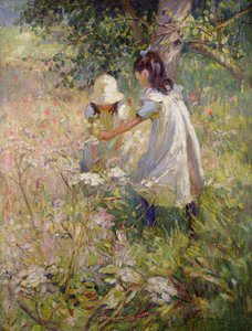  autorstwa Dorothea Sharp