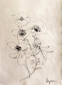  autorstwa Dorothy Fagan