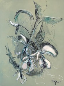 Elegancki szkic orchidei