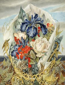 Irys i Róża autorstwa Dorothy M. Larcher