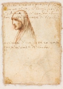 Profil długości biustu starej kobiety verso, c. 1521. autorstwa Dosso Dossi