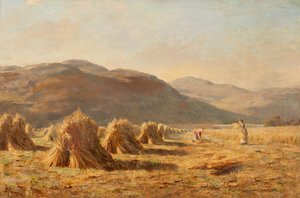 Żniwa w pobliżu Dumyat, Ochil Hills (olej na płótnie) autorstwa Duncan Cameron